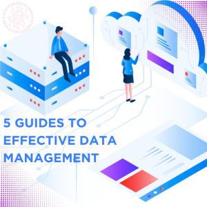 5 guides to effective data management