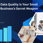 Data Quality is Your Small Business's Secret Weapon