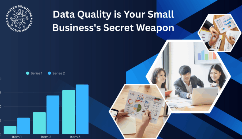 Data Quality is Your Small Business’s Secret Weapon